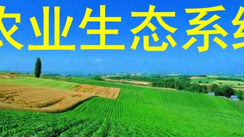 休闲农业项目招商代理：如何选择合适的合作伙伴**