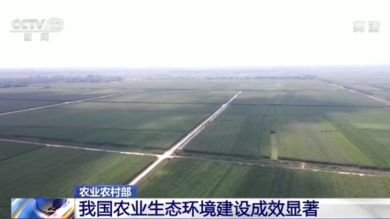 进口农产品批发清关流程全解析