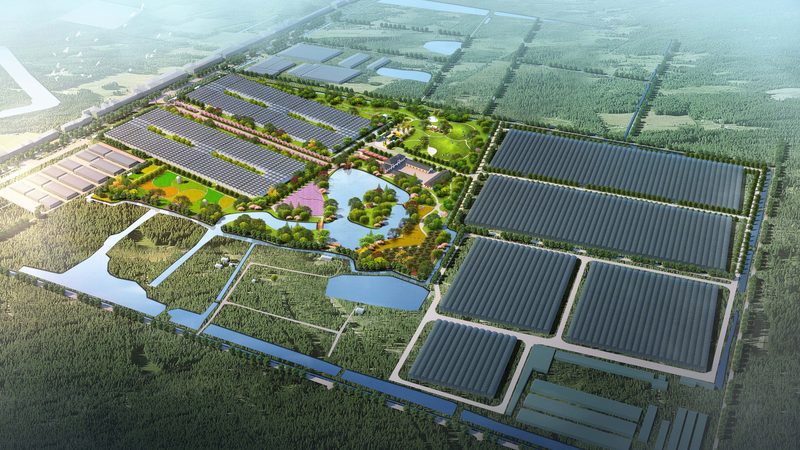 智能温室大棚：打造现代农业的“温床