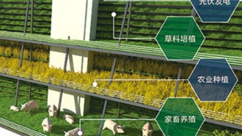 上海绿色食品认证机构：守护舌尖上的安全
