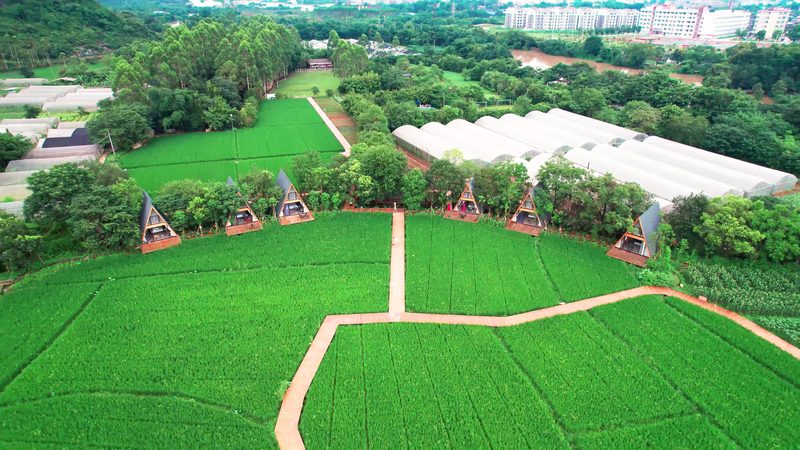 休闲农业与乡村旅游：运营模式差异解析