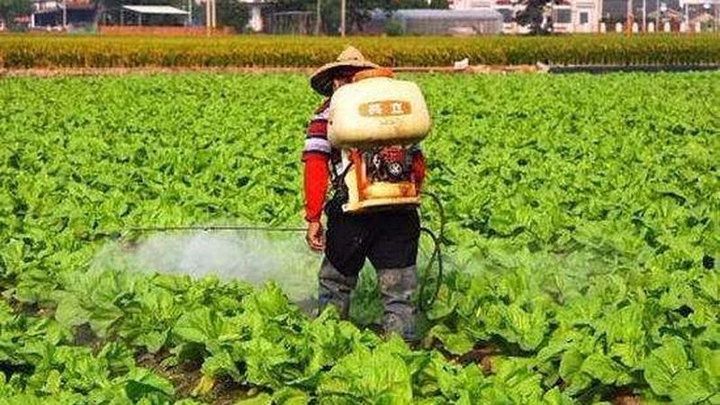 绿色食品认证代理：为哪些行业保驾护航