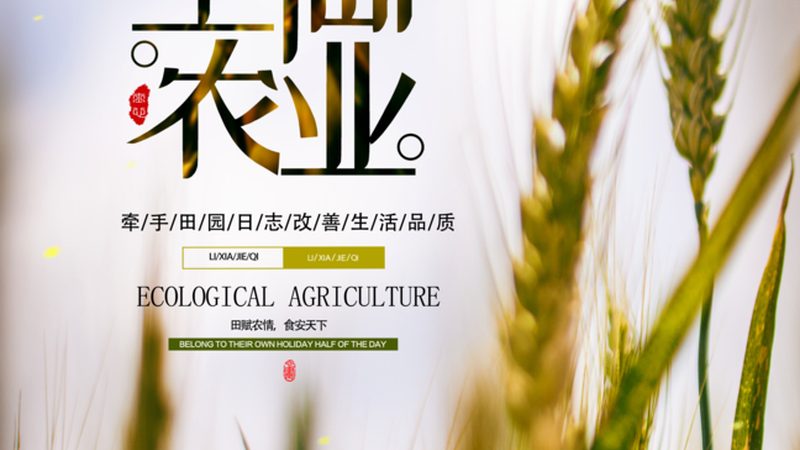 水果种植：农药采购批发价格的理性考量